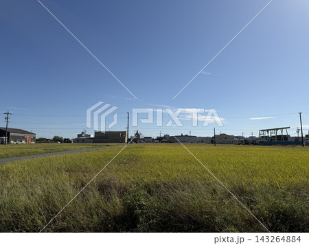 田んぼのある風景 143264884