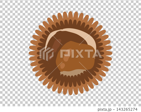 Chestnut illustration 143265274