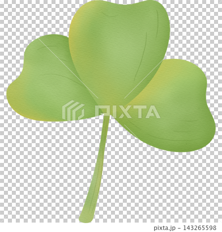 Leaf in autumn hand drawn transparency illustration. Leaf in autumn hand drawn transparency illustration. 143265598