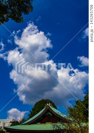 白峯神社 まりの神のご利益:球技・武道上達,厄除け,心願成就,家内安全 白峯神社 まりの神のご利益:球技・武道上達,厄除け,心願成就,家内安全 143265706