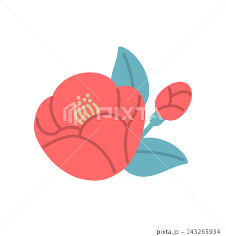 赤い椿とつぼみを描いた華やかな和風イラスト 143265934