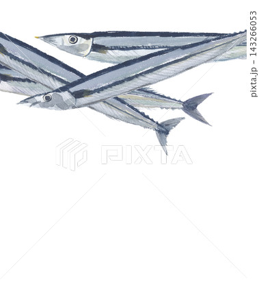 水彩で描いた秋刀魚 サンマ 水彩で描いた秋刀魚 サンマ 143266053