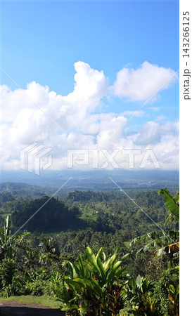 Tropical landscape stretches across lush valley beneath towering white clouds and blue sky. Dense palms, broadleaf plants, and green terraces create tranquil mountain panorama in bright daylight. Tropical landscape stretches across lush valley beneath towering white clouds and blue sky. Dense palms, broadleaf plants, and green terraces create tranquil mountain panorama in bright daylight. 143266125