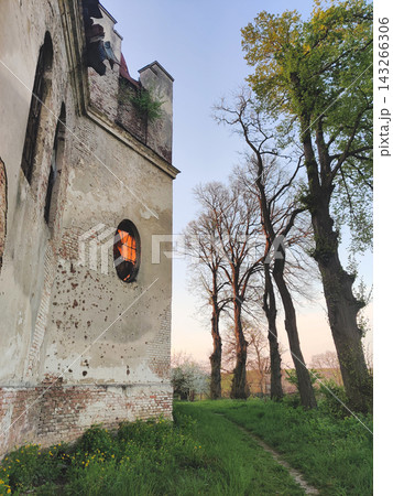 Architectural details of the ruined St. Mary Magdalene Church in Vovkiv 143266306