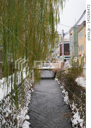 柳越しに見る雪の小樽の川と冬の町並み 143266472