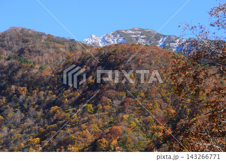 福島県下郷町観音沼 紅葉に染まる山の奥に佇む白銀の峰 143266771