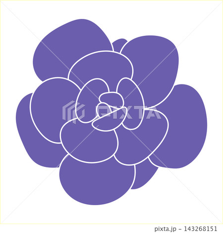 Succulent doodle style. Desert flower sketch. Outline very peri drawing plant.  143268151