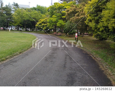 芝生と樹木に囲まれた公園の遊歩道 芝生と樹木に囲まれた公園の遊歩道 143268612