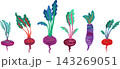 Beet varieties with colorful leafy greens 143269051