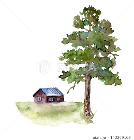Watercolor tall pine tree next to small red wooden cottage on green meadow, hand painted Nordic rural landscape 143269168