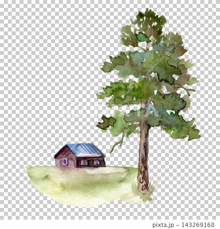 Watercolor tall pine tree next to small red wooden cottage on green meadow, hand painted Nordic rural landscape 143269168