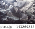 feather as a background feather as a background 143269232