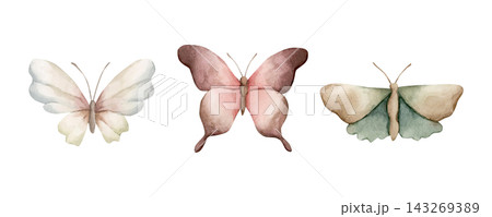 Cute Butterfly Set. Aesthetic Insects Watercolor hand drawn floral illustration isolated on white background for summer forest baby nursery design whimsical home textile cozy print porcelain crockery Cute Butterfly Set. Aesthetic Insects Watercolor hand drawn floral illustration isolated on white background for summer forest baby nursery design whimsical home textile cozy print porcelain crockery 143269389