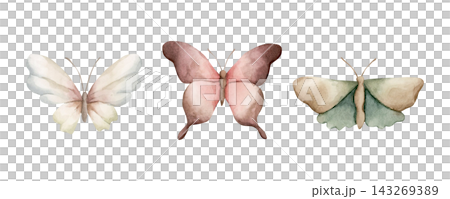 Cute Butterfly Set. Aesthetic Insects Watercolor hand drawn floral illustration isolated on white background for summer forest baby nursery design whimsical home textile cozy print porcelain crockery Cute Butterfly Set. Aesthetic Insects Watercolor hand drawn floral illustration isolated on white background for summer forest baby nursery design whimsical home textile cozy print porcelain crockery 143269389