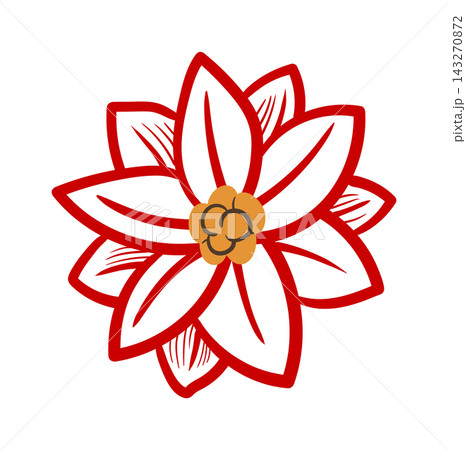Poinsettia Bloom Line Art Poinsettia Bloom Line Art 143270872