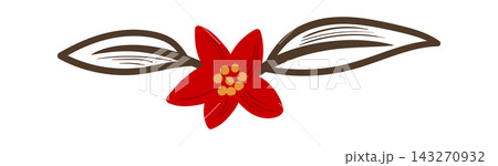 Poinsettia Blossom Divider Line Art Poinsettia Blossom Divider Line Art 143270932