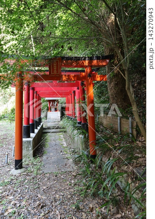 大阪府三島郡にある椎尾神社の境内風景 143270943