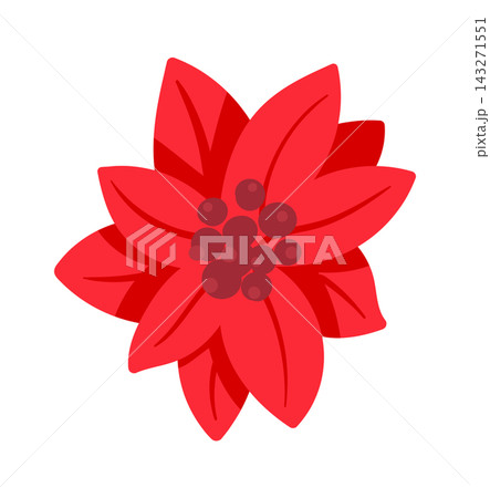 Poinsettia Bloom Holiday Emblem Cartoon Poinsettia Bloom Holiday Emblem Cartoon 143271551