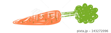 Carrot Scribble Doodle Sketch Carrot Scribble Doodle Sketch 143272096
