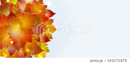 beautiful autumn nature yellow leaves banner beautiful autumn nature yellow leaves banner 143272879