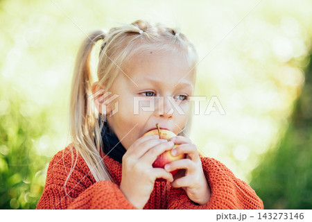 Child picking apples on farm in autumn. Little girl playing in tree orchard. Healthy nutrition. Cute little girl eating red delicious fruit. Harvest Concept. Apple picking. Child picking apples on farm in autumn. Little girl playing in tree orchard. Healthy nutrition. Cute little girl eating red delicious fruit. Harvest Concept. Apple picking. 143273146