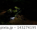 苔むした石と清流 143274195