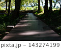 枯れ葉の落ちる木道 143274199