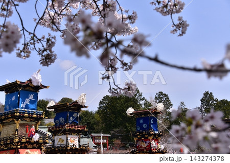 日本の愛知県の犬山市 春の犬山祭りと満開の桜 犬山城前広場に集まる車山 からくり人形を奉納する光景 日本の愛知県の犬山市 春の犬山祭りと満開の桜 犬山城前広場に集まる車山 からくり人形を奉納する光景 143274378