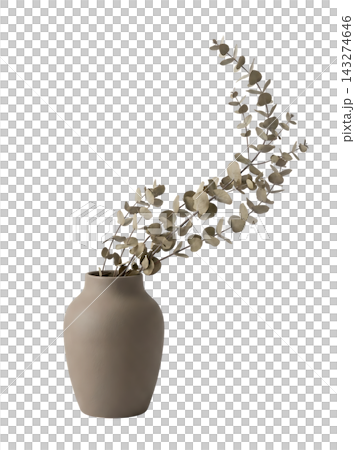 Minimalist Tall Vase with Eucalyptus and Pampas Grass Isolated Minimalist Tall Vase with Eucalyptus and Pampas Grass Isolated 143274646