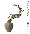 Minimalist Tall Vase with Eucalyptus and Pampas Grass Isolated 143274647