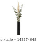 Minimalist Tall Vase with Eucalyptus and Pampas Grass Isolated 143274648