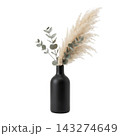 Minimalist Tall Vase with Eucalyptus and Pampas Grass Isolated 143274649