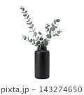Minimalist Tall Vase with Eucalyptus and Pampas Grass Isolated 143274650