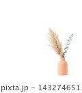 Minimalist Tall Vase with Eucalyptus and Pampas Grass Isolated 143274651