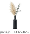 Minimalist Tall Vase with Eucalyptus and Pampas Grass Isolated 143274652