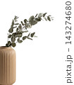 Directional Eucalyptus and Pampas Botanical Accent Isolated 143274680