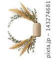 Directional Eucalyptus and Pampas Botanical Accent Isolated 143274681