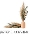 Directional Eucalyptus and Pampas Botanical Accent Isolated 143274685