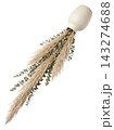 Directional Eucalyptus and Pampas Botanical Accent Isolated 143274688