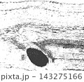 Black and White Grunge Wood Texture with Scratches and Distressed Surface Background. Minimal black wood grain distressed wood scratch lines grunge texture. 143275166