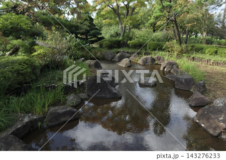 江戸川区 行船公園の中にある平成庭園 江戸川区 行船公園の中にある平成庭園 143276233