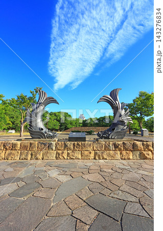 兵庫県姫路市、城見台公園から見た国宝姫路城と鯱の風景 143276834