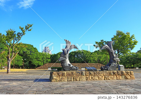 兵庫県姫路市、城見台公園から見た国宝姫路城と鯱の風景 143276836