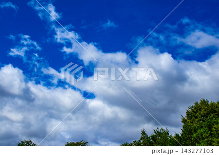【京都風景】色々な姿に形を変える隨心院の夏の雲 【京都風景】色々な姿に形を変える隨心院の夏の雲 143277103