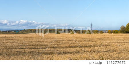 Panorama. Autumn landscape. A harvested rapeseed field with urban buildings in the background. 143277671