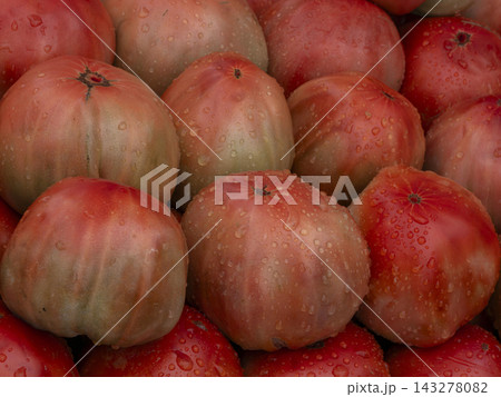 Fresh pink ribbed tomatoes with water drops collected during a market visit in the morning 143278082