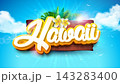 Aloha Hawaii Tropical Summer Design with Flower, Exotic Palm Leaves and 3d Typography Lettering on Blue Cloudy Sky Background. Vector Holiday Typography Illustration with Tropic Plant and Phylodendron 143283400
