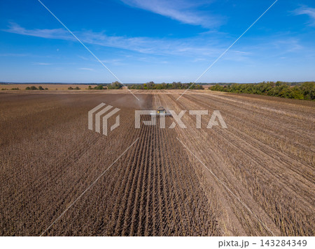 Sunflower field stretches beneath broad blue sky, with combine harvester centered among dry rows. Expansive farmland has harvested appearance, though sunflower heads are not clearly visible. Sunflower field stretches beneath broad blue sky, with combine harvester centered among dry rows. Expansive farmland has harvested appearance, though sunflower heads are not clearly visible. 143284349