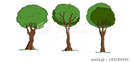Set of trees. Isolated color icons on white background. Spring tree for your design. Vector symbol sign. Plants, landscape design. Eco idea concept 143284593