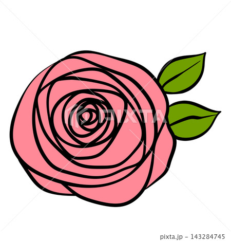 Rose flowers with leaves. Floral hand drawn art ornamental background. Doodle style. Vector illustration. Simple minimalistic nature design 143284745